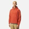 Mens Carhartt WIP Chase Hoodie